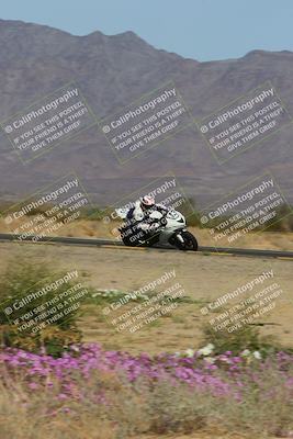 media/Feb-04-2023-SoCal Trackdays (Sat) [[8a776bf2c3]]/Turn 15 Inside Blooming (1050am)/